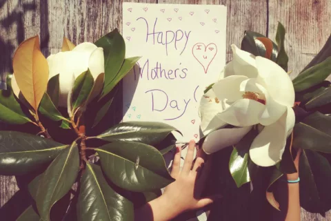 Karolina bobek eo R84jj W1oo unsplash scaled